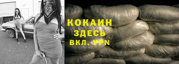 стаф Абаза