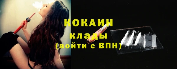 стаф Абаза