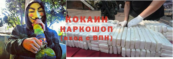 стаф Абаза