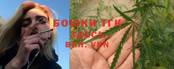 стаф Абаза