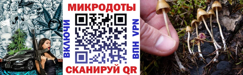 Псилоцибиновые грибы Psilocybe Альметьевск