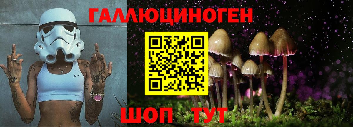 Галлюциногенные грибы Cubensis  Вход с VPN  Галлюциногенные грибы Psilocybine cubensis  купить закладку  Альметьевск 